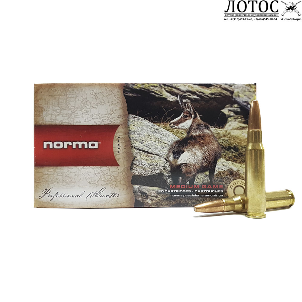 308norma Vulkan